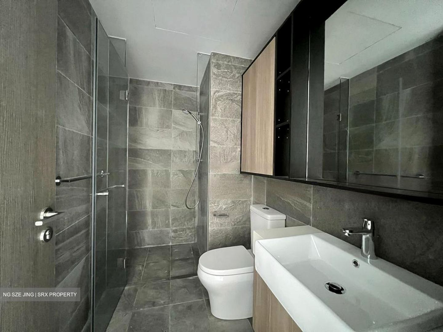 Kent Ridge Hill Residences (D5), Apartment #477868841